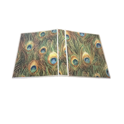 Clarity Journal Plumes Encased Fabric
